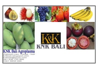 KNK Bali Agroplasma