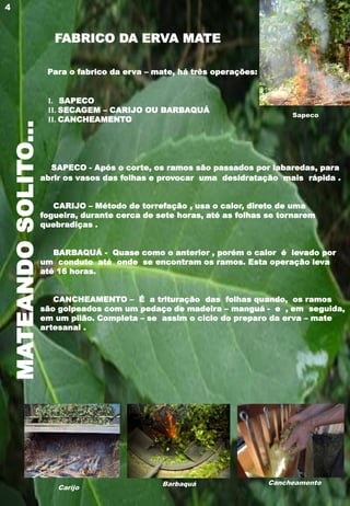 MATEANDOSOLITO...
Para o fabrico da erva – mate, há três operações:
I. SAPECO
II. SECAGEM – CARIJO OU BARBAQUÁ
II. CANCHEAMENTO
SAPECO - Após o corte, os ramos são passados por labaredas, para
abrir os vasos das folhas e provocar uma desidratação mais rápida .
CARIJO – Método de torrefação , usa o calor, direto de uma
fogueira, durante cerca de sete horas, até as folhas se tornarem
quebradiças .
BARBAQUÁ - Quase como o anterior , porém o calor é levado por
um conduto até onde se encontram os ramos. Esta operação leva
até 16 horas.
CANCHEAMENTO – É a trituração das folhas quando, os ramos
são golpeados com um pedaço de madeira – manguá - e , em seguida,
em um pilão. Completa – se assim o ciclo do preparo da erva – mate
artesanal .
4
CancheamentoBarbaquá
Carijo
FABRICO DA ERVA MATE
Sapeco
 
