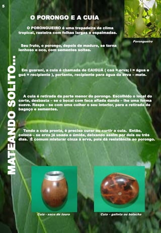 MATEANDOSOLITO...
O PORONGUEIRO é uma trepadeira de clima
tropical, rasteira com folhas largas e espalmadas.
Seu fruto, o porongo, depois de maduro, se torna
lenhoso e oco, com sementes soltas.
Em guarani, a cuia é chamada de CAIGUÁ ( caá = erva; i = água e
guá = recipiente ), portanto, recipiente para água da erva – mate.
A cuia é retirada da parte menor do porongo. Escolhido o local do
corte, desbasta – se o bocal com faca afiada dando – lhe uma forma
suave. Raspa – se com uma colher o seu interior, para a retirada do
bagaço e sementes.
Tendo a cuia pronta, é preciso curar ou curtir a cuia. Então,
coloca – se erva já usada e úmida, deixando assim por dois ou três
dias. É comum misturar cinza à erva, pois dá resistência ao porongo.
Porongueiro
Cuia - saco de touro Cuia – galleta ou bolacha
O PORONGO E A CUIA
5
 