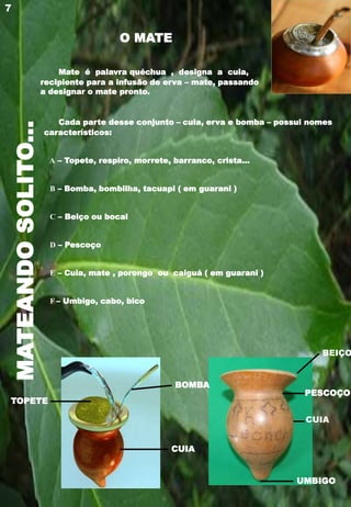MATEANDOSOLITO...
Mate é palavra quéchua , designa a cuia,
recipiente para a infusão de erva – mate, passando
a designar o mate pronto.
Cada parte desse conjunto – cuia, erva e bomba – possui nomes
característicos:
A – Topete, respiro, morrete, barranco, crista...
B – Bomba, bombilha, tacuapi ( em guarani )
C – Beiço ou bocal
D – Pescoço
E – Cuia, mate , porongo ou caiguá ( em guarani )
F – Umbigo, cabo, bico
7
BOMBA
TOPETE
CUIA
BEIÇO
PESCOÇO
CUIA
UMBIGO
O MATE
 