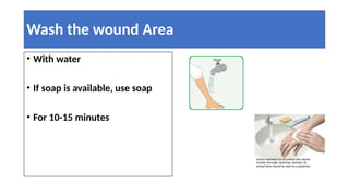 World Rabies day 2024 ims and sum 2 Banner with PPT | PPTX
