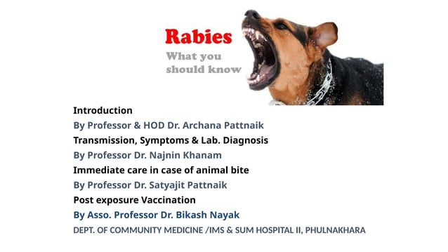 World Rabies day 2024 ims and sum 2 Banner with PPT | PPTX | Infectious ...