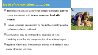 World Rabies day 2024 ims and sum 2 Banner with PPT | PPTX