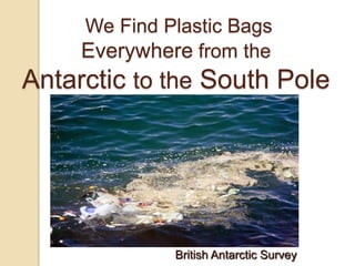 We Find Plastic Bags
Everywhere from the
Antarctic to the South Pole
British Antarctic Survey
 