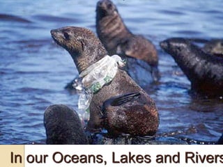 In our Oceans, Lakes and Rivers
 
