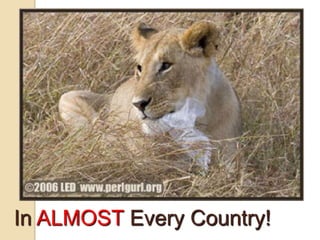 In ALMOST Every Country!
 