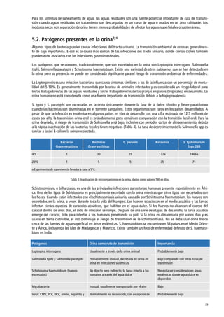 39
Para los sistemas de saneamiento de agua, las aguas residuales son una fuente potencial importante de ruta de transmi-
sión cuando aguas residuales sin tratamiento son descargadas en un curso de agua o usadas en un área cultivable. Los
inodoros secos con separación de orina tienen menos probabilidades de afectar las aguas superficiales o subterráneas.
5.2. Patógenos presentes en la orina2y4
Algunos tipos de bacteria pueden causar infecciones del tracto urinario. La transmisión ambiental de estos es generalmen-
te de baja importancia. E-coli es la causa más común de las infecciones del tracto urinario, donde ciertos clones también
pueden estar asociados con las infecciones gastrointestinales.
Los patógenos que se conocen, tradicionalmente, que son excretados en la orina son Leptospira interrogans, Salmonella
typhi, Salmonella paratyphi y Schistosoma haematobium. Existe una variedad de otros patógenos que se han detectado en
la orina, pero su presencia no puede ser considerada significante para el riesgo de transmisión ambiental de enfermedades.
La Leptospirosis es una infección bacteriana que causa síntomas similares a los de la influenza con un porcentaje de morta-
lidad del 5-10%. Es generalmente transmitida por la orina de animales infectados y es considerada un riesgo laboral para
los/as trabajadores/as de las aguas residuales y los/as trabajadores/as de las granjas en países (tropicales) en desarrollo. La
orina humana no está considerada como una fuente importante de transmisión debido a la baja prevalencia.
S. typhi y S. paratyphi son excretadas en la orina únicamente durante la fase de la fiebre tifoidea y fiebre paratifoidea
cuando las bacterias son diseminadas en el torrente sanguíneo. Estos organismos son raros en los países desarrollados. A
pesar de que la infección es endémica en algunos países en vías de desarrollo con una cifra estimada de 12,5 millones de
casos por año, la transmisión orina-oral es probablemente poco común en comparación con la transición fecal-oral. Para la
orina desviada, el riesgo de transmisión de Salmonella será bajo, inclusive con períodos cortos de almacenamiento, debido
a la rápida inactivación de las bacterias fecales Gram-negativas (Tabla 4). La tasa de decrecimiento de la Salmonella spp es
similar a la del E-coli en la orina recolectada.
Bacterias
Gram-negativas
Bacterias
Gram-positivas
C. parvum Rotavirus S. typhimurium
fago 28B
4°C 1 30 29 172a 1466a
20°C 1 5 5 35 71
a Experimentos de supervivencia llevados a cabo a 5°C.
Tabla 4: Inactivación de microorganismos en la orina, dados como valores T90 en días.
Schistosomiasis, o bilharziasis, es una de las principales infecciones parasitarias humanas presente especialmente en Áfri-
ca. Uno de los tipos de Schistosoma es principalmente excretado con la orina mientras que otros tipos son excretados con
las heces. Cuando están infectados con el schistosomiasis urinario, causado por Schistosoma haematobium, los huevos son
excretados en la orina, a veces durante toda la vida del huésped. Los huevos eclosionan en el medio acuático y las larvas
infectan ciertas especies de caracoles acuáticos, que habitan en el agua dulce. Si los huevos no alcanzan el cuerpo del
caracol dentro de unos días, el ciclo de infección se rompe. Después de una serie de etapas de desarrollo, la larva acuática
emerge del caracol, lista para infectar a los humanos penetrando su piel. Si la orina es almacenada por varios días y es
usada en tierra cultivable, el uso disminuye el riesgo de transmisión de la schistosomiasis. No se debe usar orina fresca
cerca de las fuentes de agua superficial en áreas endémicas. S. haematobium se encuentra en 53 países en el Medio Orien-
te y África, incluyendo las islas de Madagascar y Mauricio. Existe también un foco de enfermedad definido de S. haemato-
bium en India.
Patógenos Orina como ruta de transmisión Importancia
Leptospira interrogans Usualmente a través de la orina animal Probablemente bajo
Salmonella typhi y Salmonella paratyphi Probablemente inusual, excretada en orina en
orina en infecciones sistémicas
Bajo comparado con otras rutas de
transmisión
Schistosoma haematobium (huevos
excretados)
No directo pero indirecto, la larva infecta a los
humanos a través del agua dulce
Necesita ser considerado en áreas
endémicas donde agua dulce es
disponible
Mycobacteria Inusual, usualmente transportado por el aire Bajo
Virus: CMV, JCV, BKV, adeno, hepatitis y Normalmente no reconocido, con excepción de Probablemente bajo
 