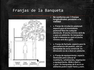 Banquetas,guarniciones y rampas | PPT