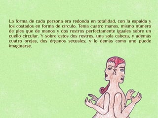 La forma de cada persona era redonda en totalidad, con la espalda y
los costados en forma de círculo. Tenía cuatro manos, mismo número
de pies que de manos y dos rostros perfectamente iguales sobre un
cuello circular. Y sobre estos dos rostros, una sola cabeza, y además
cuatro orejas, dos órganos sexuales, y lo demás como uno puede
imaginarse.
 