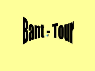 Bant - Tour 