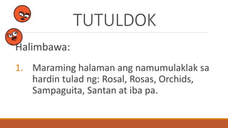 TUTULDOK
Halimbawa:
1. Maraming halaman ang namumulaklak sa
hardin tulad ng: Rosal, Rosas, Orchids,
Sampaguita, Santan at iba pa.
 