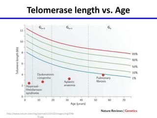 Telomerase length vs. Age 
http://www.nature.com/nrg/journal/v13/n10/images/nrg3246- 
f2.jpg 
 