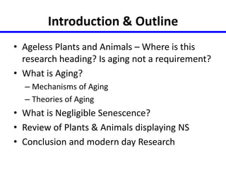 Introduction & Outline 
• Ageless Plants and Animals – Where is this 
research heading? Is aging not a requirement? 
• What is Aging? 
– Mechanisms of Aging 
– Theories of Aging 
• What is Negligible Senescence? 
• Review of Plants & Animals displaying NS 
• Conclusion and modern day Research 
 