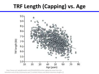 TRF Length (Capping) vs. Age 
http://www.anti-agingfirewalls.com/2014/02/03/nuclear-aging-the-view-from-the-telomere- 
end-of-the-chromsome-part-1-context-history-and-about-telomere-lengths-2/ 
 