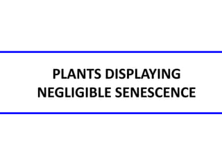 PLANTS DISPLAYING 
NEGLIGIBLE SENESCENCE 
 