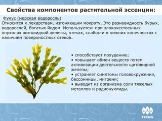 Свойства компонентов растительной эссенции:
Фукус (морская водоросль)
Относится к лекарствам, изгоняющим мокроту. Это разновидность бурых,
водорослей, богатых йодом. Используется: при злокачественных
опухолях щитовидной железы, отеках, слабости в нижних конечностях с
наличием поверхностных отеков.
• способствует похудению;
• повышает обмен веществ путем
активизации деятельности щитовидной
железы;
• устраняет симптомы головокружения,
бессонницы, мигрени;
• выводит из организма соли тяжелых
металлов и радионуклиды.
 