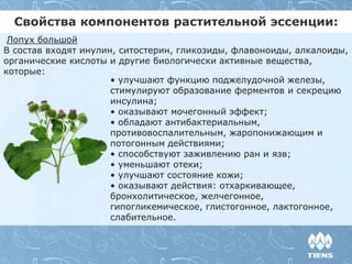 Свойства компонентов растительной эссенции:
Лопух большой
В состав входят инулин, ситостерин, гликозиды, флавоноиды, алкалоиды,
органические кислоты и другие биологически активные вещества,
которые:
• улучшают функцию поджелудочной железы,
стимулируют образование ферментов и секрецию
инсулина;
• оказывают мочегонный эффект;
• обладают антибактериальным,
противовоспалительным, жаропонижающим и
потогонным действиями;
• способствуют заживлению ран и язв;
• уменьшают отеки;
• улучшают состояние кожи;
• оказывают действия: отхаркивающее,
бронхолитическое, желчегонное,
гипогликемическое, глистогонное, лактогонное,
слабительное.
 