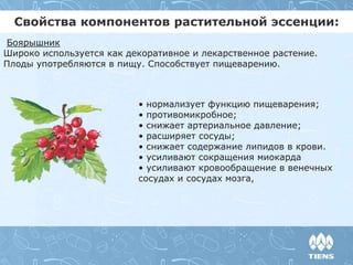 Свойства компонентов растительной эссенции:
Боярышник
Широко используется как декоративное и лекарственное растение.
Плоды употребляются в пищу. Способствует пищеварению.
• нормализует функцию пищеварения;
• противомикробное;
• снижает артериальное давление;
• расширяет сосуды;
• снижает содержание липидов в крови.
• усиливают сокращения миокарда
• усиливают кровообращение в венечных
сосудах и сосудах мозга,
 