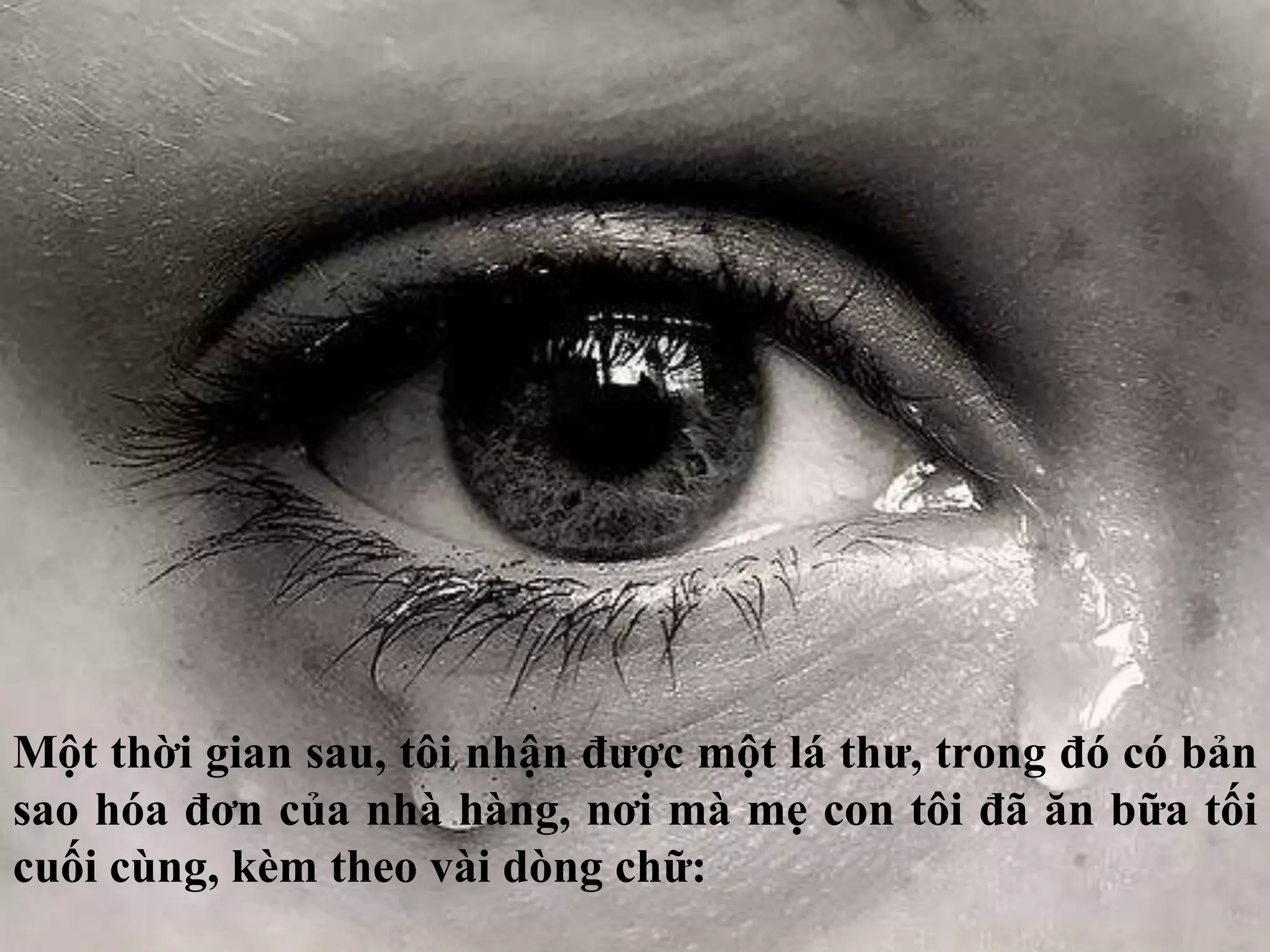 Một thời gian sau, tôi nhận được một lá thư, trong đó có bản 
sao hóa đơn của nhà hàng, nơi mà mẹ con tôi đã ăn bữa tối 
cuối cùng, kèm theo vài dòng chữ: 
 