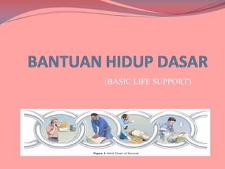 (BASIC LIFE SUPPORT)

 