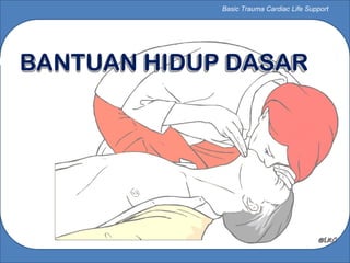 Comprehensive Basic Trauma Cardiac Life Support (BLS) Training and ...