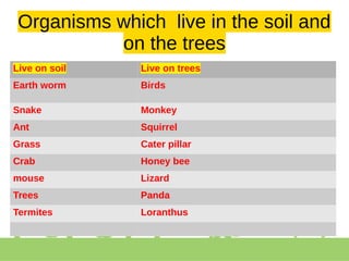 Organisms which live in the soil and
on the trees
Live on soil Live on trees
Earth worm Birds
Snake Monkey
Ant Squirrel
Grass Cater pillar
Crab Honey bee
mouse Lizard
Trees Panda
Termites Loranthus
 