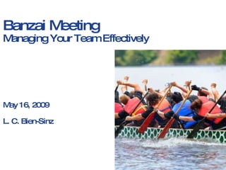Banzai Meeting Managing Your Team Effectively May 16, 2009 L. C. Bien-Sinz 