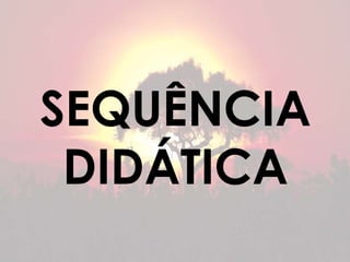 SEQUÊNCIA 
DIDÁTICA 
 