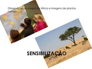 Observação do mapa da África e imagens de plantas 
nativas. 
SENSIBILIZAÇÃO 
 