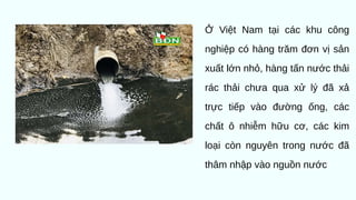 Ở Việt Nam tại các khu công
nghiệp có hàng trăm đơn vị sản
xuất lớn nhỏ, hàng tấn nước thải
rác thải chưa qua xử lý đã xả
trực tiếp vào đường ống, các
chất ô nhiễm hữu cơ, các kim
loại còn nguyên trong nước đã
thâm nhập vào nguồn nước
 