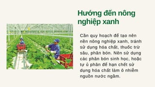Hướng đến nông
nghiệp xanh
Cần quy hoạch để tạo nên
nền nông nghiệp xanh, tránh
sử dụng hóa chất, thuốc trừ
sâu, phân bón. Nên sử dụng
các phân bón sinh học, hoặc
tự ủ phân để hạn chết sử
dụng hóa chất làm ô nhiễm
nguồn nước ngầm.
 