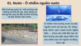 01. Nước - Ô nhiễm nguồn nước
Môi trường nước là môi trường mà
những cá thể tồn tại, sinh sống và
tương tác qua lại đều bị ảnh hưởng
và phụ thuộc vào nước.
Ô nhiễm môi trường nước là việc
nguồn nước tại các ao, hồ, sông,
suối, kênh, rạch, mạch nước ngầm,
biển…. chứa các chất độc hại với
hàm lượng cao gây nguy hiểm cho
sức khỏe của con người và động
thực vật.
 