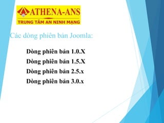 Các dòng phiên bản Joomla:
Dòng phiên bản 1.0.X
Dòng phiên bản 1.5.X
Dòng phiên bản 2.5.x
Dòng phiên bản 3.0.x
 