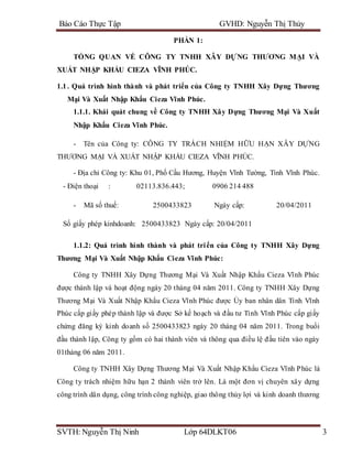 Bao cao thuc tap tong hop cong ty cieza vinh phuc | DOCX