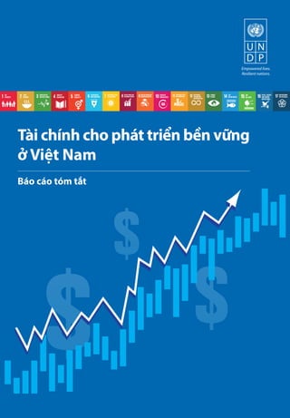 Tài chính cho phát triển bền vững
ở Việt Nam
Báo cáo tóm tắt
 