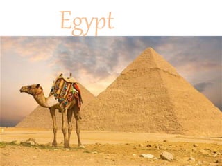Egypt 
 