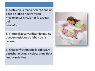 Baño de inmersion | PPTX