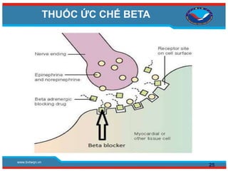 www.bvtwqn.vn
THUỐC ỨC CHẾ BETA
25
 