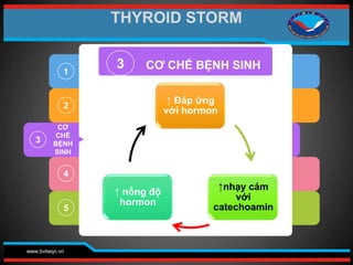 www.bvtwqn.vn
2
3
4
5
3 CƠ CHẾ BỆNH SINH
1
CƠ
CHẾ
BỆNH
SINH
THYROID STORM
↑ Đáp ứng
với hormon
↑nhạy cảm
với
catechoamin
↑ nồng độ
hormon
 
