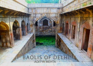 Baolis of DelhiADITYA MEHTA  