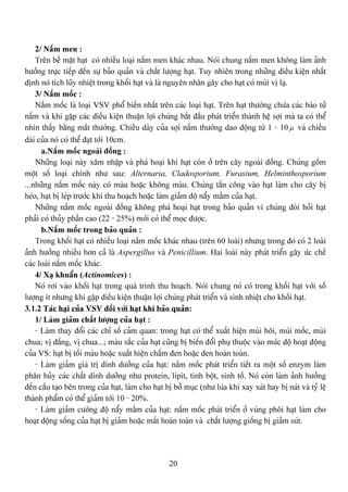 20
2/ Náúm men :
Trãn bãö màût haût coï nhiãöu loaûi náúm men khaïc nhau. Noïi chung náúm men khäng laìm aính
hæåíng træûc tiãúp âãún sæû baío quaín vaì cháút læåüng haût. Tuy nhiãn trong nhæîng âiãöu kiãûn nháút
âënh noï têch luîy nhiãût trong khäúi haût vaì laì nguyãn nhán gáy cho haût coï muìi vë laû.
3/ Náúm mäúc :
Náúm mäúc laì loaûi VSV phäø biãún nháút trãn caïc loaûi haût. Trãn haût thæåìng chæïa caïc baìo tæí
náúm vaì khi gàûp caïc âiãöu kiãûn thuáûn låüi chuïng bàõt âáöu phaït triãøn thaình hãû såüi maì ta coï thãø
nhçn tháúy bàòng màõt thæåìng. Chiãöu daìy cuía såüi náúm thæåìng dao âäüng tæì 1 - 10µ vaì chiãöu
daìi cuía noï coï thãø âaût tåïi 10cm.
a.Náúm mäúc ngoaìi âäöng :
Nhæîng loaûi naìy xám nháûp vaì phaï hoaûi khi haût coìn åí trãn cáy ngoaìi âäöng. Chuïng gäöm
mäüt säú loaûi chênh nhæ sau: Alternaria, Cladosporium, Furasium, Helminthosporium
...nhæîng náúm mäúc naìy coï maìu hoàûc khäng maìu. Chuïng táún cäng vaìo haût laìm cho cáy bë
heïo, haût bë leïp træåïc khi thu hoaûch hoàûc laìm giaím âäü náøy máöm cuía haût.
Nhæîng náúm mäúc ngoaìi âäöng khäng phaï hoaûi haût trong baío quaín vç chuïng âoìi hoíi haût
phaíi coï thuíy pháön cao (22 - 25%) måïi coï thãø moüc âæåüc.
b.Náúm mäúc trong baío quaín :
Trong khäúi haût coï nhiãöu loaûi náúm mäúc khaïc nhau (trãn 60 loaìi) nhæng trong âoï coï 2 loaìi
aính hæåíng nhiãöu hån caí laì Aspergillus vaì Penicillium. Hai loaìi naìy phaït triãøn gáy æïc chãú
caïc loaìi náúm mäúc khaïc.
4/ Xaû khuáøn (Actinomices) :
Noï råi vaìo khäúi haût trong quaï trçnh thu hoaûch. Noïi chung noï coï trong khäúi haût våïi säú
læåüng êt nhæng khi gàûp âiãöu kiãûn thuáûn låüi chuïng phaït triãøn vaì sinh nhiãût cho khäúi haût.
3.1.2 Taïc haûi cuía VSV âäúi våïi haût khi baío quaín:
1/ Laìm giaím cháút læåüng cuía haût :
- Laìm thay âäøi caïc chè säú caím quan: trong haût coï thãø xuáút hiãûn muìi häi, muìi mäúc, muìi
chua; vë âàõng, vë chua...; maìu sàõc cuía haût cuîng bë biãún âäøi phuû thuäüc vaìo mæïc âäü hoaût âäüng
cuía VS: haût bë täúi maìu hoàûc xuáút hiãûn cháúm âen hoàûc âen hoaìn toaìn.
- Laìm giaím giaï trë dinh dæåíng cuía haût: náúm mäúc phaït triãøn tiãút ra mäüt säú enzym laìm
phán huíy caïc cháút dinh dæåîng nhæ protein, lipit, tinh bäüt, sinh täú. Noï coìn laìm aính hæåíng
âãún cáúu taûo bãn trong cuía haût, laìm cho haût bë båí muûc (nhæ luïa khi xay xaït hay bë naït vaì tyí lãû
thaình pháøm coï thãø giaím tåïi 10 - 20%.
- Laìm giaím cæåìng âäü náøy máöm cuía haût: náúm mäúc phaït triãøn åí vuìng phäi haût laìm cho
hoaût âäüng säúng cuía haût bë giaím hoàûc máút hoaìn toaìn vaì cháút læåüng giäúng bë giaím suït.
 