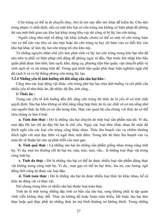 27
- Cän truìng coï thãø tæû di chuyãøn (bay, boì) tæì nåi naìy âãún nåi khaïc âãø kiãúm àn. Cho nãn
trong phaûm vi nháút âënh, nãúu coï mäüt kho haût coï cän truìng maì khäng coï biãûn phaïp âãö phoìng
thç sau mäüt thåìi gian caïc kho haût khaïc trong khu væûc âoï cuîng seî bë láy lan cän truìng.
- Ngæåìi cuîng nhæ mäüt säú âäüng váût khaïc (chuäüt, chim) coï thãø coï mäüt säú cän truìng baïm
vaìo cå thãø (do vaìo kho coï sáu moüt hoàûc do cän truìng tæû bay tåïi baïm vaìo cå thãø) khi vaìo
kho haût khaïc seî laìm láy lan cän truìng tåïi cho kho naìy.
Tæì nhæîng nguyãn nhán chuí yãúu laìm phaït sinh vaì láy lan cän truìng trong kho haût nhæ âaî
nãu trãn ta phaíi coï biãûn phaïp chuí âäüng âãö phoìng ngay tæì âáöu. Haût træåïc khi nháûp kho baío
quaín phaíi âæåüc laìm khä, laìm saûch; kho, duûng cuû, phæång tiãûn baío quaín, váûn chuyãøn phaíi vãû
sinh saûch seî vaì saït truìng triãût âãø. Trong quaï trçnh baío quaín phaíi thæûc hiãûn nghiãm ngàût chãú
âäü caïch li vaì coï hãû thäúng phoìng cän truìng láy lan.
3.2.4 Nhæîng yãúu täú aính hæåíng tåïi âåìi säúng cuía sáu haûi kho :
Cuîng nhæ caïc loaûi âäüng váût khaïc, cän truìng phaï haûi haût chëu aính hæåíng vaì chi phäúi cuía
nhiãöu yãúu täú nhæ thæïc àn, âäü nhiãût, âäü áøm, aïnh saïng...
1/ Thæïc àn :
Trong caïc yãúu täú aính hæåíng âãún âåìi säúng cän truìng thç thæïc àn laì yãúu täú coï tênh cháút
quyãút âënh. Sáu haûi kho khäng coï khaí nàng täøng håüp thæïc àn tæì caïc cháút vä cå maì säúng nhåì
vaìo nguäön thæïc àn hæîu cå coï sàôn trong kho. Dæûa vaìo quan hãû cuía chuïng våïi thæïc àn coï thãø
chia chuïng ra laìm 4 loaìi:
a. Tênh âån thæûc : Âoï laì nhæîng sáu haûi chuyãn àn mäüt loaûi saín pháøm naìo âoï. Vê duû,
moüt âáûu Haì lan chè àn âáûu Haì lan laì chuí yãúu. Ngay caïc loaûi thoïc khaïc nhau thç mæïc âäü
thêch nghi cuía caïc loaûi cän truìng cuîng khaïc nhau. Thoïc thu hoaûch vaìo vuû chiãm thæåìng
thêch nghi våïi moüt âuûc thán vaì ngaìi thoïc mäüt âäúm. Trong khi âoï thoïc thu hoaûch vaìo vuû
muìa thç seî thuáûn låüi cho sæû phaït triãøn cuía moüt gaûo.
b. Tênh quaí thæûc : Laì nhæîng sáu haûi àn nhæîng saín pháøm giäúng nhau trong cuìng mäüt
hoü. Vê duû, moüt tre thæåìng chè àn haûi tre, næïa, truïc, mai, váöu... laì nhæîng loaûi thæûc váût trong
cuìng mäüt hoü.
c. Tênh âa thæûc : Âoï laì nhæîng sáu haûi coï thãø àn âæåüc nhiãöu loaûi saín pháøm âäüng thæûc
váût khäng trong cuìng mäüt hoü. Vê duû , moüt gaûo coï thãø àn haûi thoïc, luïa mç, cao læång, ngä
âäöng thåìi cuîng àn âæåüc caïc loaûi âáûu.
d. Tênh toaìn thæûc : Âoï laì nhæîng sáu haûi àn âæåüc nhiãöu loaûi thæïc àn khaïc nhau, kãø caí
thæïc àn âäüng váût vaì thæûc váût.
Noïi chung trong kho coï nhiãöu sáu haûi thuäüc loaûi toaìn thæûc.
Tênh àn laì mäüt trong nhæîng âàûc tênh cå baín cuía sáu haûi, song khäng phaíi laì táûp quaïn
vénh viãùn khäng thay âäøi. Thæïc àn khäng âuí hoàûc hoaìn toaìn thiãúu, bàõt buäüc sáu haûi âån
thæûc hoàûc quaí thæûc phaíi àn nhæîng thæïc àn maì bçnh thæåìng noï khäng thêch. Trong nhæîng
 