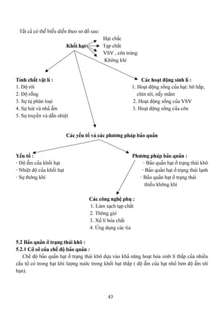 43
Táút caí coï thãø biãøu diãøn theo så âäö sau:
Haût chàõc
Khäúi haût Taûp cháút
VSV , cän truìng
Khäng khê
Tênh cháút váût lê : Caïc hoaût âäüng sinh lê :
1. Âäü råìi 1. Hoaût âäüng säúng cuía haût: hä háúp,
2. Âäü räùng chên tåïi, náøy máöm
3. Sæû tæû phán loaûi 2. Hoaût âäüng säúng cuía VSV
4. Sæû huït vaì nhaí áøm 3. Hoaût âäüng säúng cuía cän
5. Sæû truyãön vaì dáùn nhiãût
Caïc yãúu täú vaì caïc phæång phaïp baío quaín
Yãúu täú : Phæång phaïp baío quaín :
- Âäü áøm cuía khäúi haût - Baío quaín haût åí traûng thaïi khä
- Nhiãût âäü cuía khäúi haût - Baío quaín haût åí traûng thaïi laûnh
- Sæû thäng khê - Baío quaín haût åí traûng thaïi
thiãúu khäng khê
Caïc cäng nghãû phuû :
1. Laìm saûch taûp cháút
2. Thäng gioï
3. Xæí lê hoïa cháút
4. ÆÏng duûng caïc tia
5.2 Baío quaín åí traûng thaïi khä :
5.2.1 Cåí såí cuía chãú âäü baío quaín :
Chãú âäü baío quaín haût åí traûng thaïi khä dæûa vaìo khaí nàng hoaût hoïa sinh lê tháúp cuía nhiãöu
cáúu tæí coï trong haût khi læåüng næåïc trong khäúi haût tháúp ( âäü áøm cuía haût nhoí hån âäü áøm tåïi
haûn).
 
