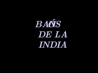 BAÑOS DE LA INDIA