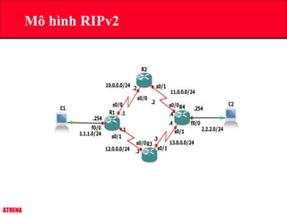 ATHENA
Mô hình RIPv2
 