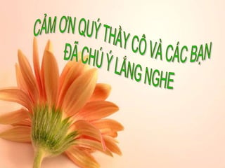 KHÓA LUẬN TỐT NGHIỆP - KHÓA 2007- 2011
ĐHSP HUẾ
 