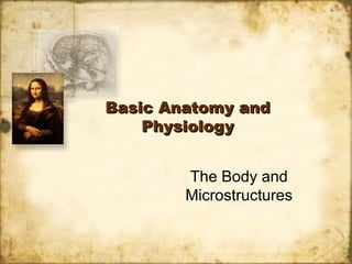 Basic Anatomy andBasic Anatomy and
PhysiologyPhysiology
The Body and
Microstructures
 