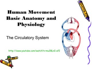 Human Movement
Basic Anatomy and
Physiology
The Circulatory System
http://www.youtube.com/watch?v=mu2BLnI-afI
 
