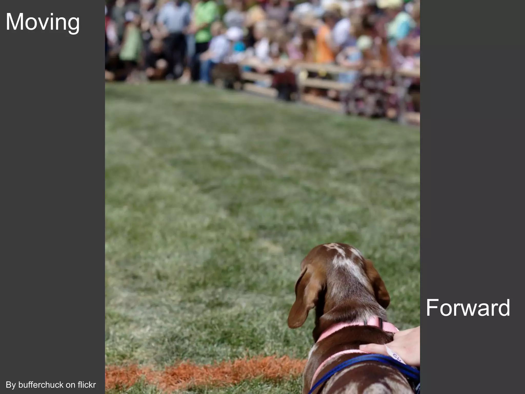 Moving




                           Forward


By bufferchuck on flickr
 