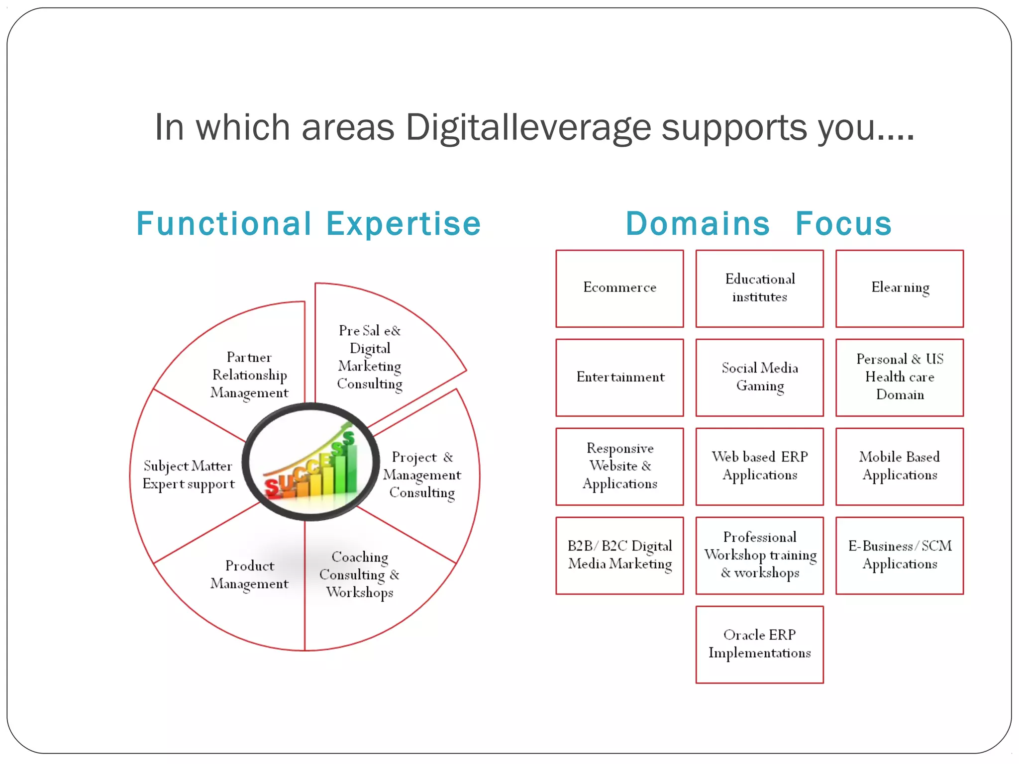 In which areas Digitalleverage supports you….
Functional Expertise Domains Focus
 